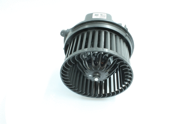 Interior Blower (7200054)