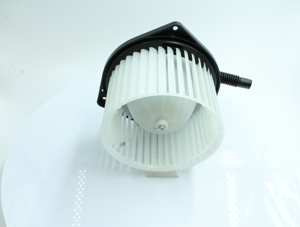 Interior Blower
