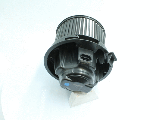 Interior Blower