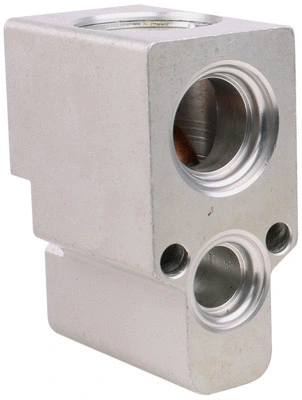 Expansion Valve, air conditioning (7110417)