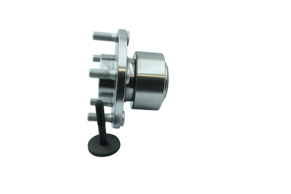 Wheel Bearing Kit (86110017)