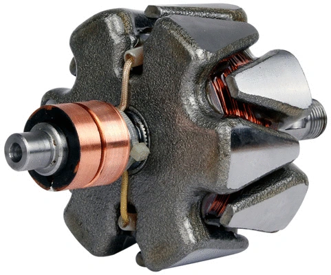 Rotor, alternator (1110835)
