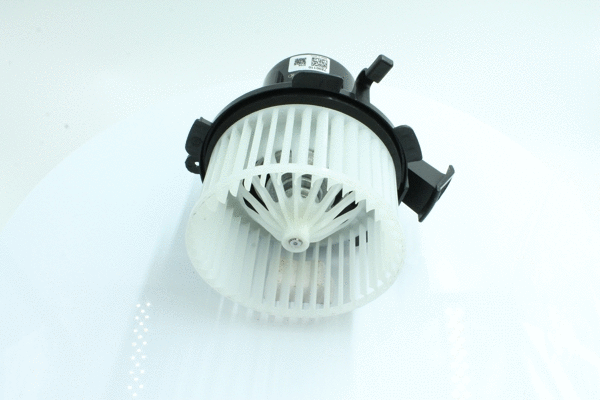 Interior Blower
