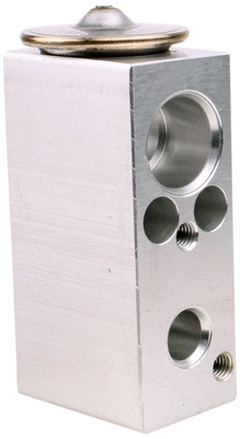 Expansion Valve, air conditioning (7110488)