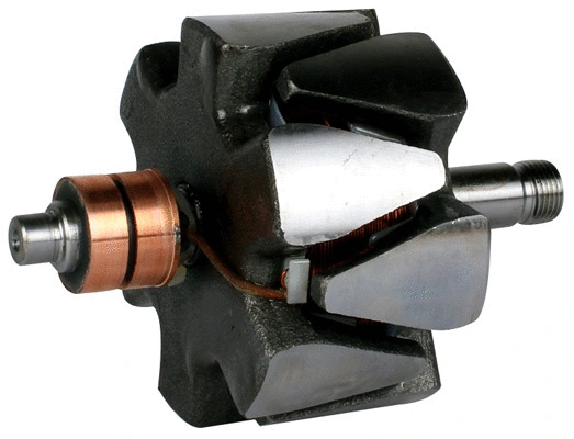 Rotor, alternator (1115504)