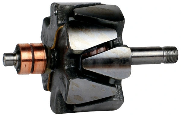 Rotor, alternator (81111771)