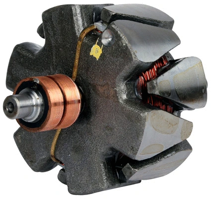 Rotor, alternator (1116898)