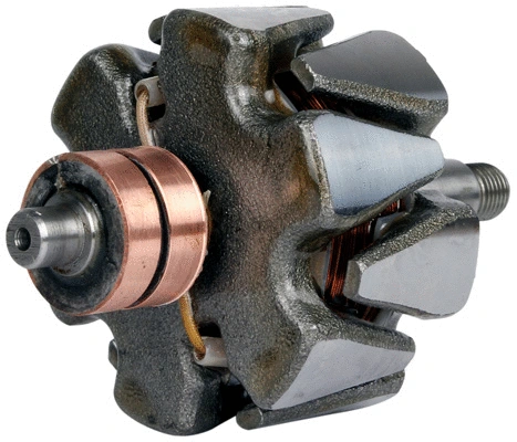 Rotor, alternator (1111553)