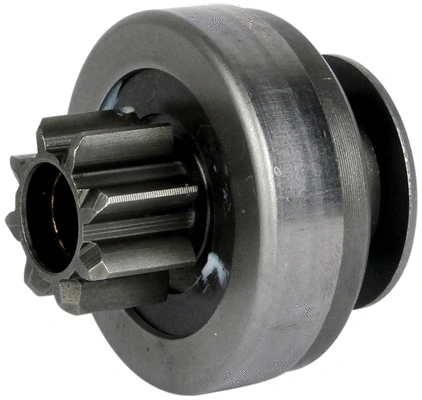 Freewheel Gear, starter (81011957)