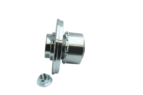 Wheel Bearing Kit (86110021)
