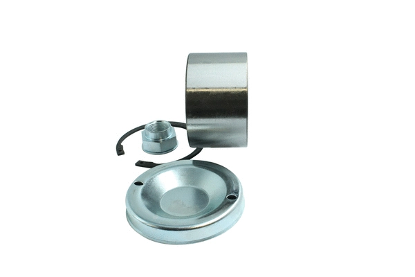 Wheel Bearing Kit (86110285)