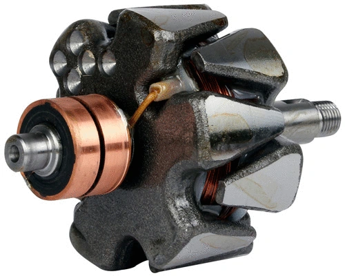 Rotor, alternator (1113104)