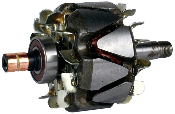 Rotor, alternator (1110965)