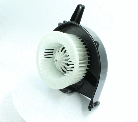 Interior Blower