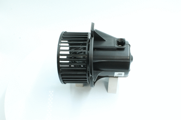 Interior Blower