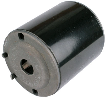 Field Winding, starter (81019107)