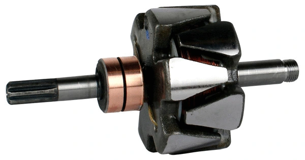 Rotor, alternator (1113762)