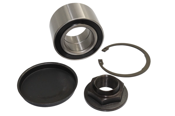 Wheel Bearing Kit (86110096)