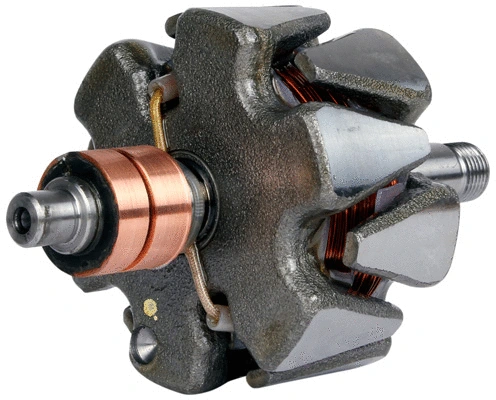 Rotor, alternator (1111403)