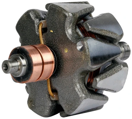 Rotor, alternator (81115193)