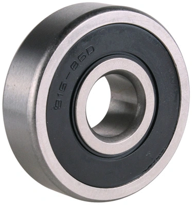 Bearing (1111555)