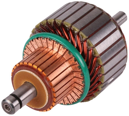 Armature, starter (81012366)