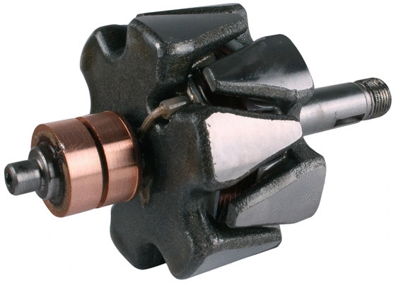 Rotor, alternator (1116198)
