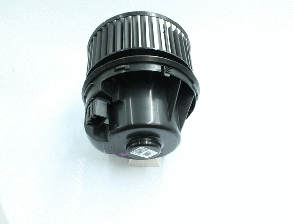 Interior Blower