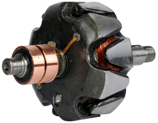 Rotor, alternator (1113013)