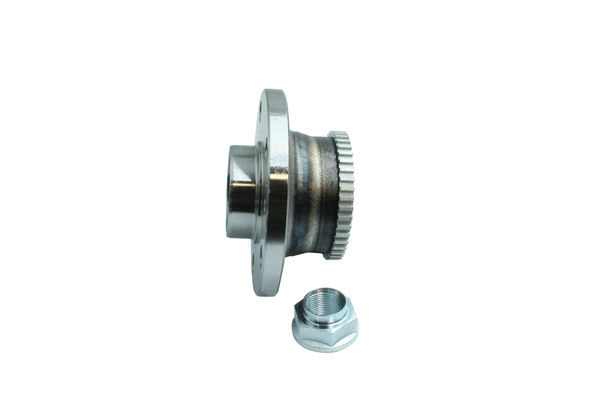 Wheel Bearing Kit (86110070)