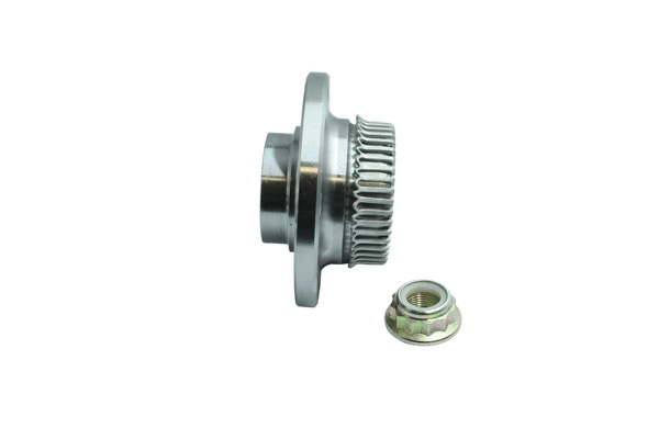 Wheel Bearing Kit (86110163)