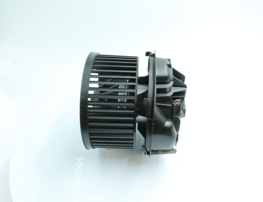 Interior Blower (7200150)