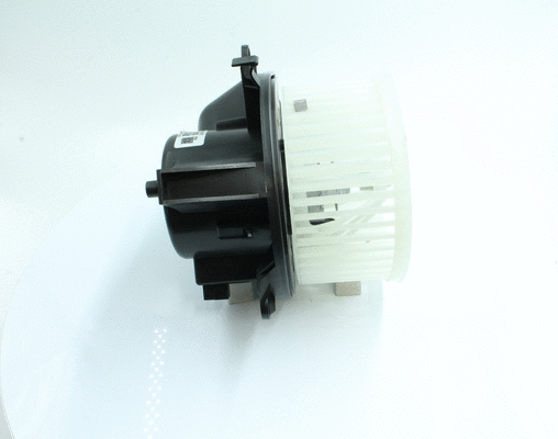 Interior Blower
