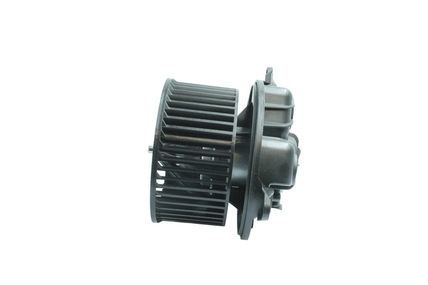 Interior Blower (7200118)