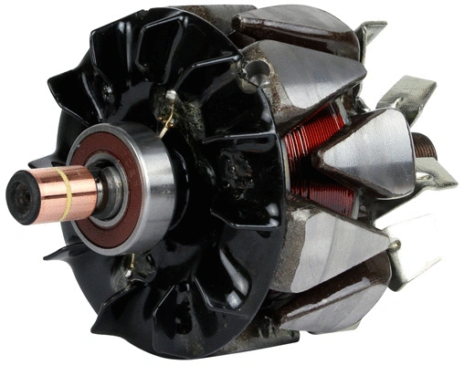 Rotor, alternator (1116248)