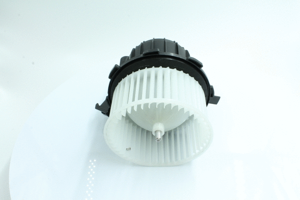 Interior Blower