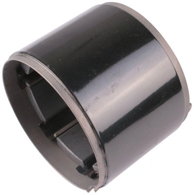 Field Winding, starter (1010780)