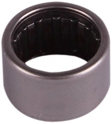 Bearing (81011894)