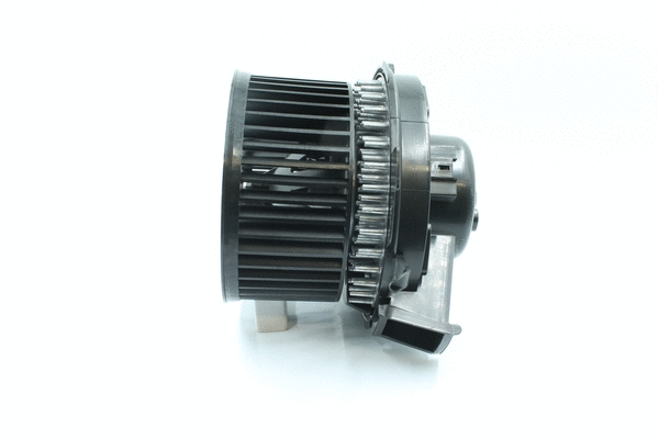 Interior Blower (7200047)