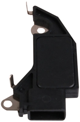 Alternator Regulator (81111245)