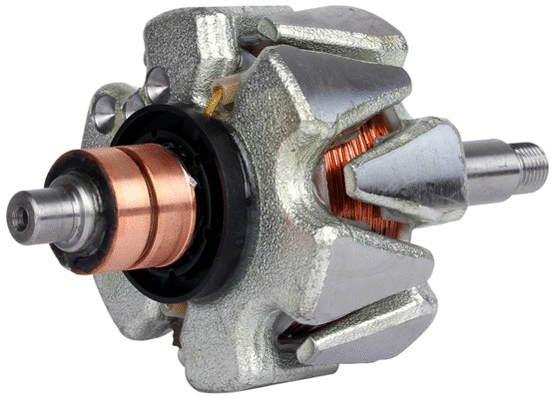 Rotor, alternator (1111270)