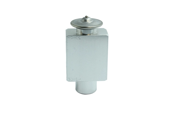 Expansion Valve, air conditioning (7110697)