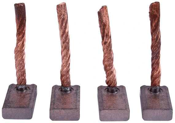 Carbon Brush, starter (1015329)