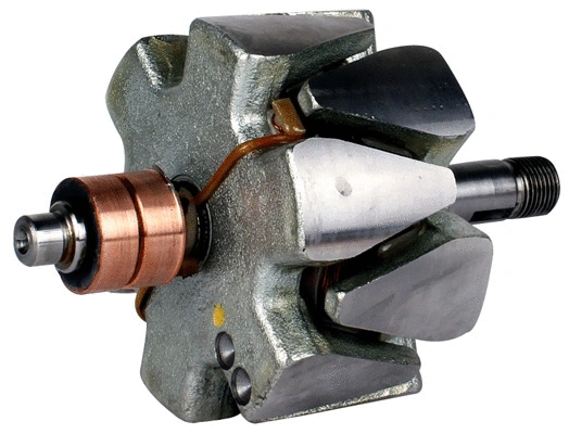 Rotor, alternator (1115124)