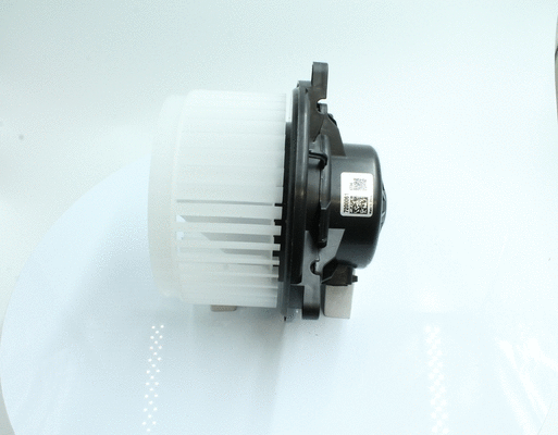 Interior Blower (7200061)