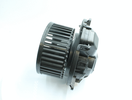 Interior Blower (7200026)