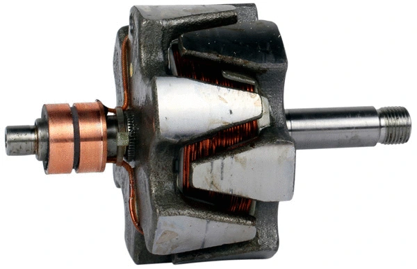 Rotor, alternator (1111661)