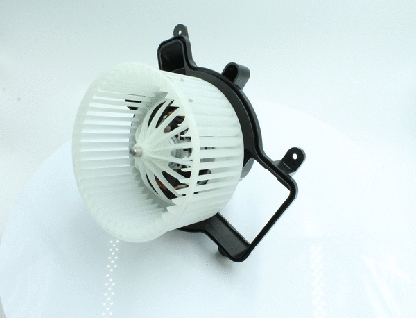 Interior Blower