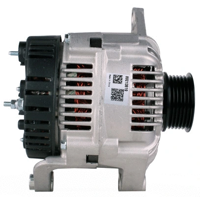 Alternator (89213819)