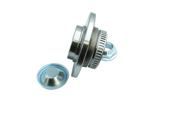 Wheel Bearing Kit (86110024)